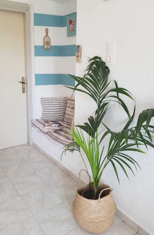 Mesogitonia House Daire Káto Zákros Dış mekan fotoğraf